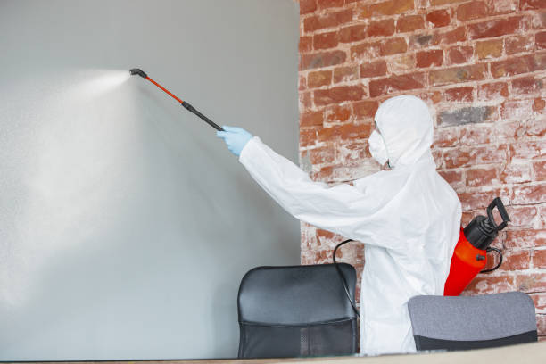 Best Residential Mold Inspection & Testing  in North Ridgeville, OH