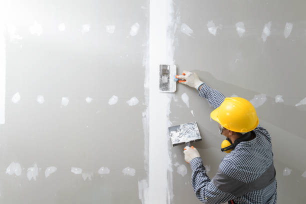 Best Mold Odor Removal Services  in North Ridgeville, OH