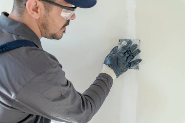 Best Mold Remediation for Healthcare Facilities  in North Ridgeville, OH