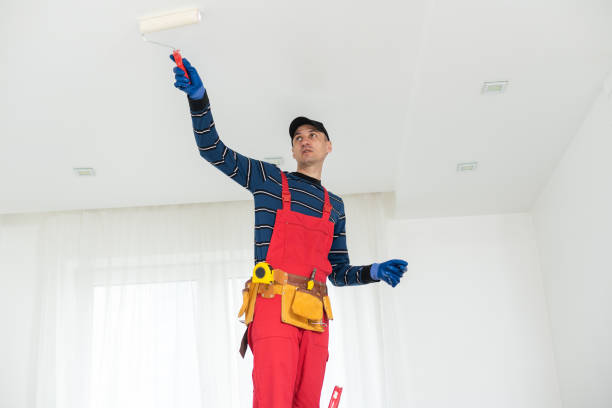 Best Dehumidification Services  in North Ridgeville, OH