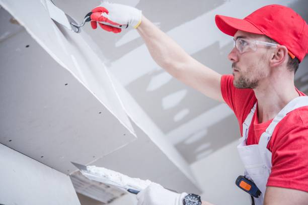 Best Comprehensive Air Testing for Mold Contaminants  in North Ridgeville, OH